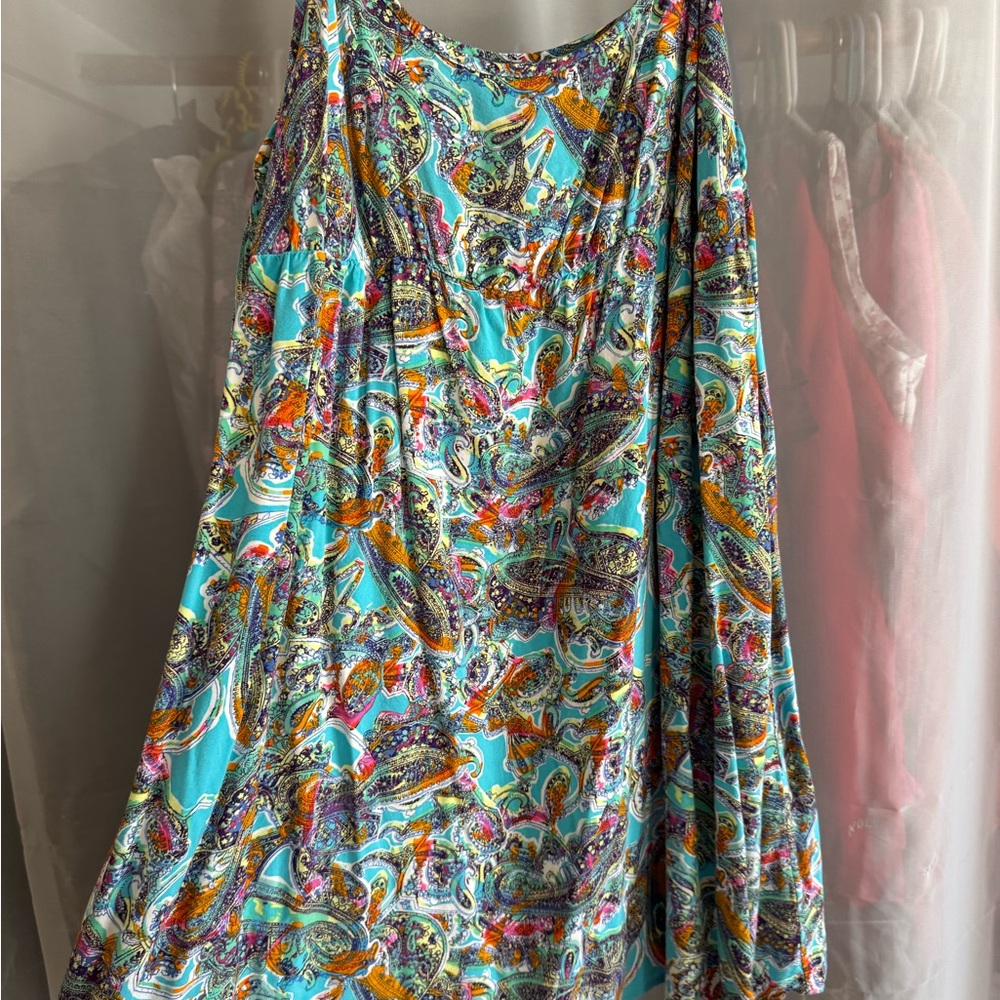 Wild Fable Paisley Print Dress